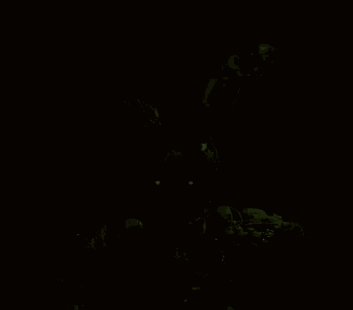 Springtrap Fnaf GIF