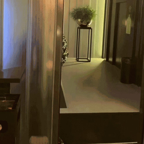 Spying Armia GIF