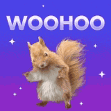 Squirrel Dancing Meme