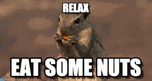 Squirrel Flying GIF