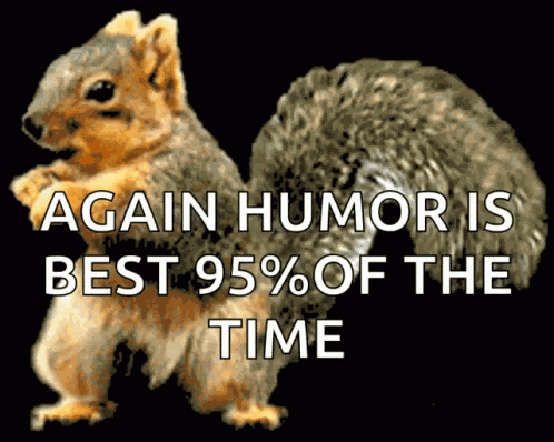 Squirrel Funny GIF