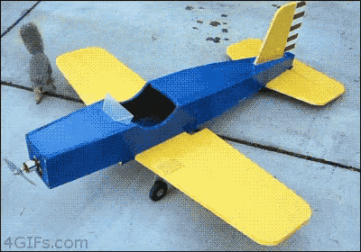 Squirrel Plane GIF