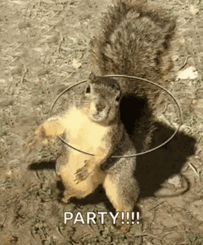 Squirrel Rotating GIF
