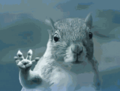 Squirrel Squirrel Flying Away In Storm GIF