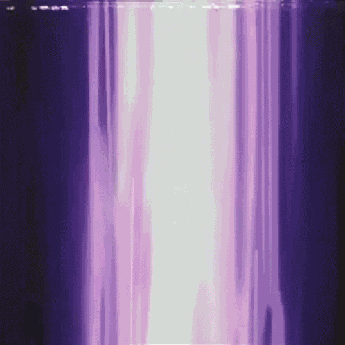 Squirrel Squirtle GIF