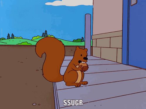 Squirrel Sugr GIF