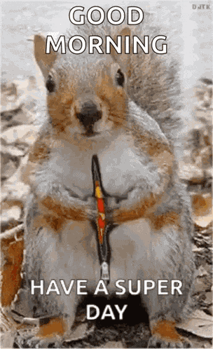 Squirrel Super GIF