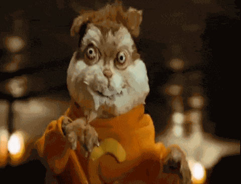 Squirrel Tweaking GIF