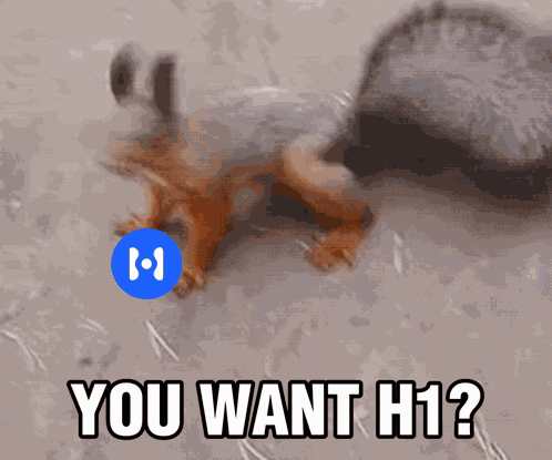 Squirrel You Want GIF