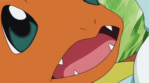 Squirtle Bites Charmander Squirtle GIF