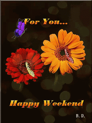 Sretan Vikend GIF