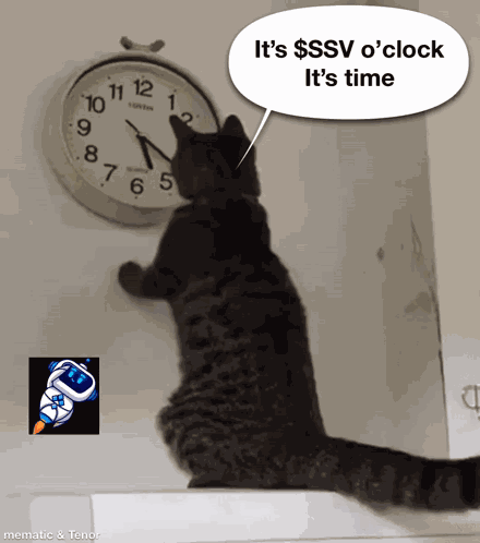 Ssv GIF