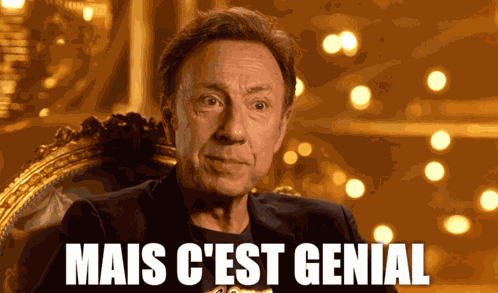 Stéphane Bern GIF