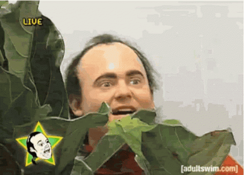 Stalk GIF