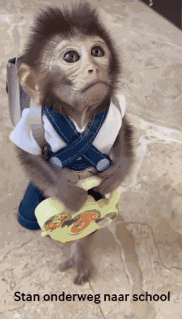 Stan Stan Aapje GIF