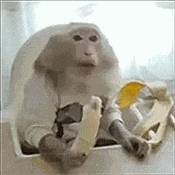 Stan Twitter Banana GIF