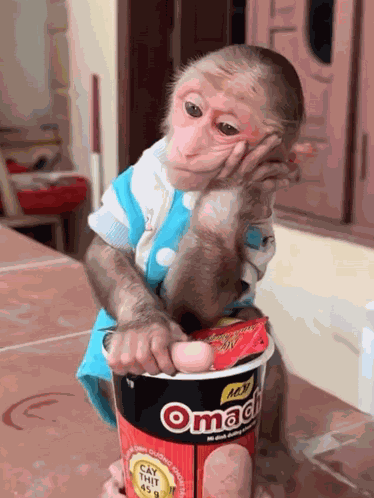 Stan Twitter Monkey Meme GIF
