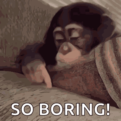 Stan Twitter Monkey GIF