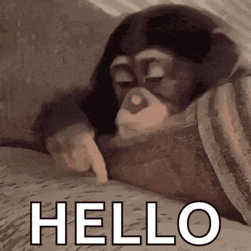 Stan Twitter Monkey GIF