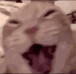 Stan Twitter Reaction Meme GIF