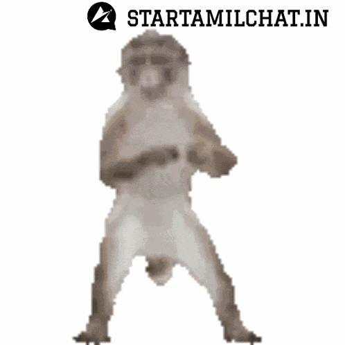 Star Tamil Chat Sanjay Chat GIF
