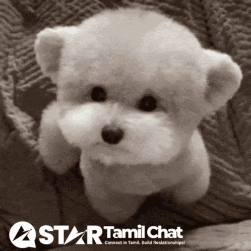 Star Tamil Chat Sanjay Chat GIF