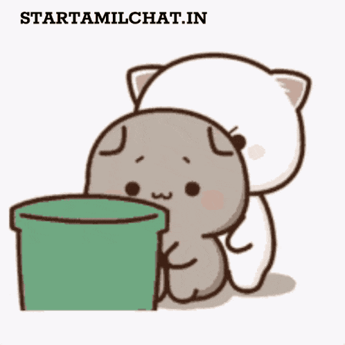Star Tamil Chat Sanjay Chat GIF
