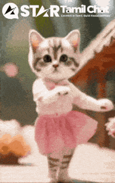 Star Tamil Chat Sanjay Chat GIF