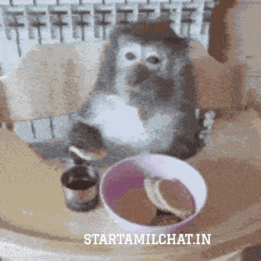 Star Tamil Chat Sanjay Chat GIF