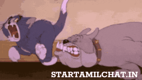 Star Tamil Chat Sanjay Chat GIF