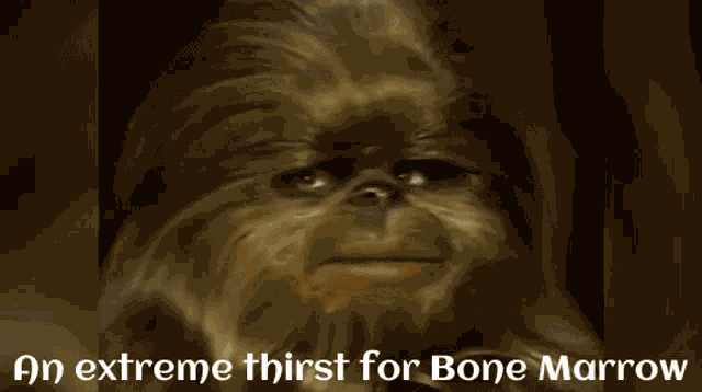 Star Wars Holiday Bone Marrow GIF