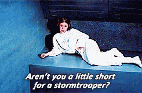 Star Wars Princess GIF