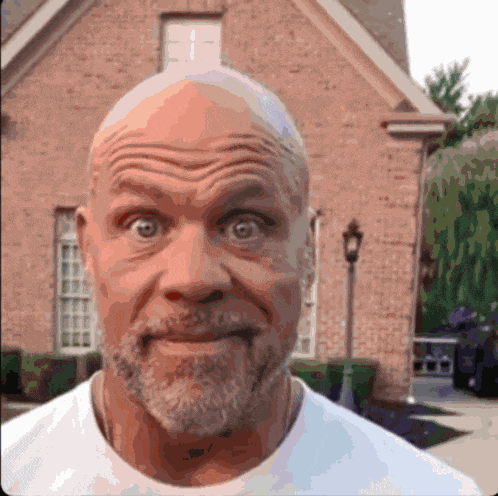 Stareing That One Dog GIF