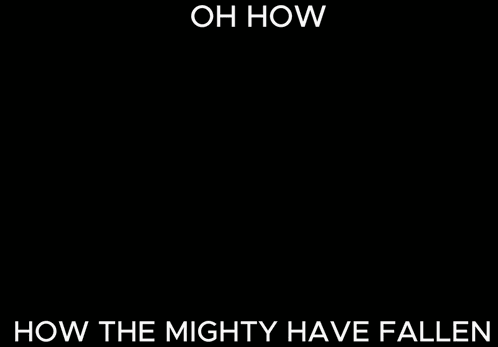 Starrabee Beestarra GIF