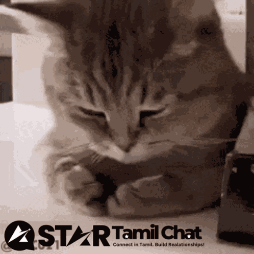 Startamilchat Sanjay Chat GIF