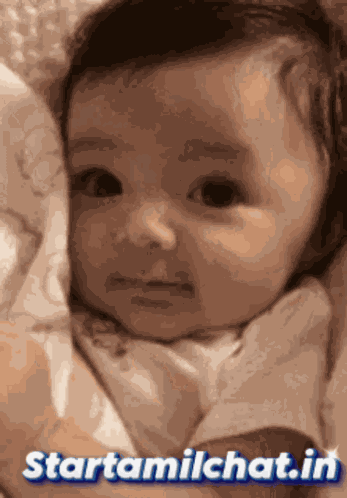 Startamilchat Sanjay Chat GIF