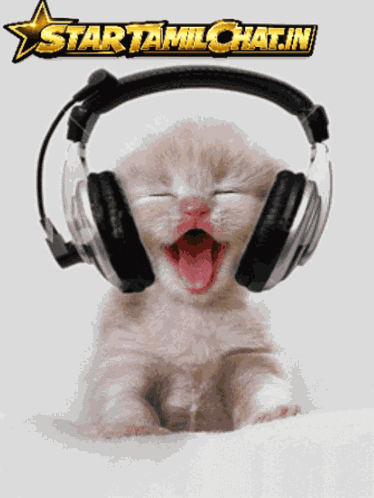 Startamilchat Sanjay Chat GIF