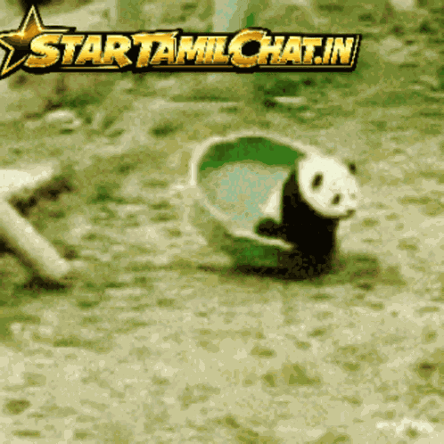 Startamilchat Tamil Chat GIF