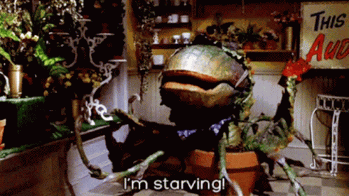 Starving GIF