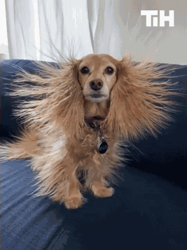 Static Hair This Is Happening GIF