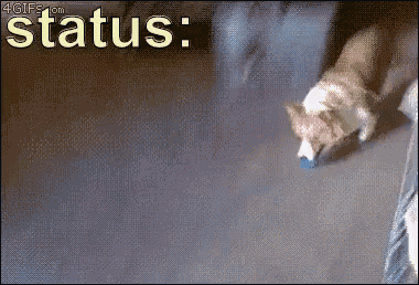 Status Morta Cansado GIF