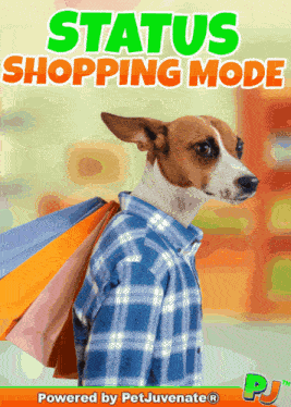 Status Shopping Mode Dog Pup Cute Funny Love Pj Chews Gif Status GIF
