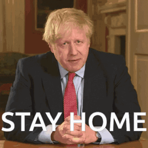 Stay Home Boris GIF