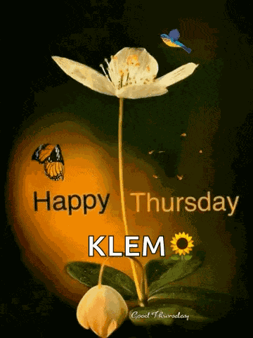 Stay Safe Be Safe GIF