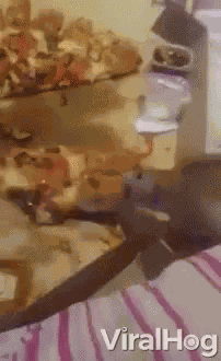 Steal A Slice Hungry GIF