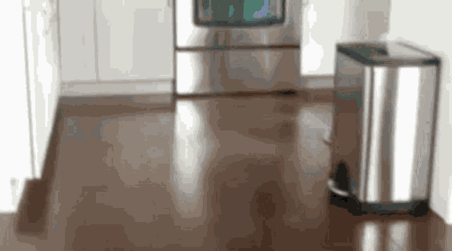 Steam Mop GIF