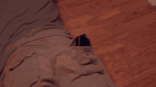 Steam Steam Summer Sale GIF