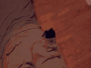 Steam Summer GIF