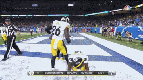 Steelers Pittsburgh GIF