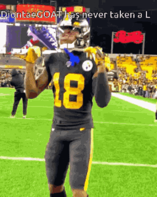 Steelers Pittsburgh GIF